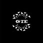 LED Car Door Welcome Light Logo for VW GTE Logo